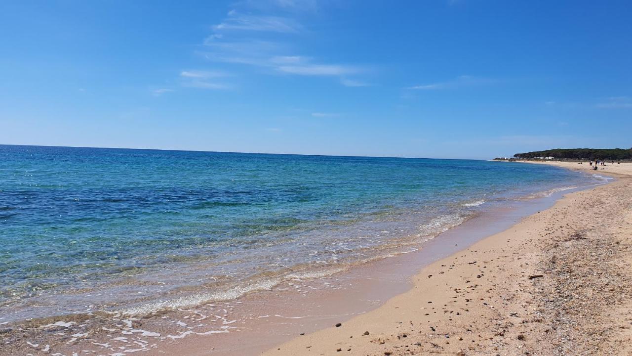 Agriturismo Corte Degli Ulivi Capoterra Dış mekan fotoğraf