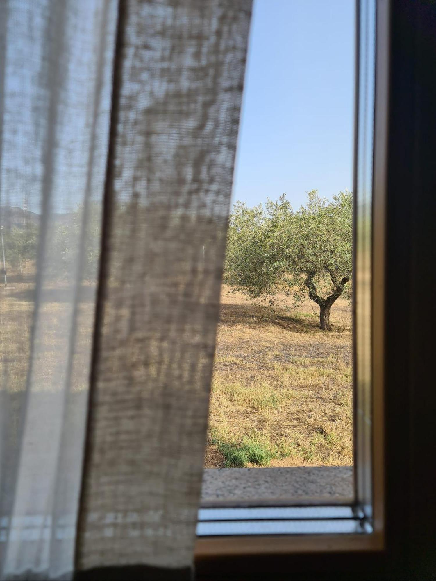 Agriturismo Corte Degli Ulivi Capoterra Dış mekan fotoğraf