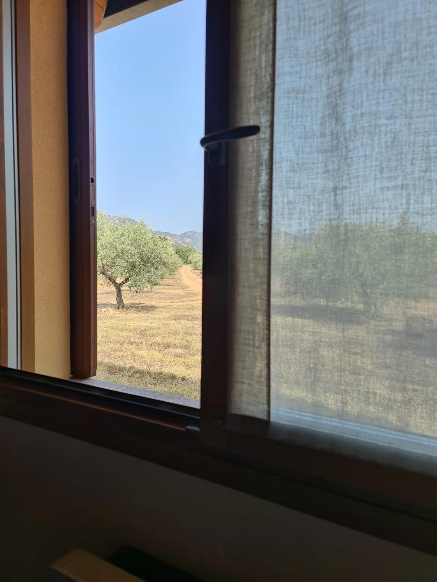 Agriturismo Corte Degli Ulivi Capoterra Dış mekan fotoğraf