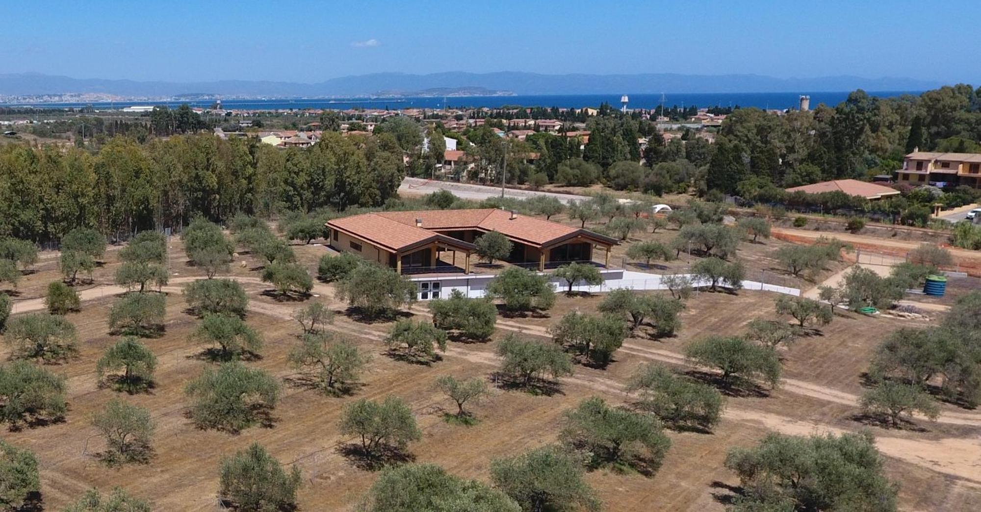 Agriturismo Corte Degli Ulivi Capoterra Dış mekan fotoğraf