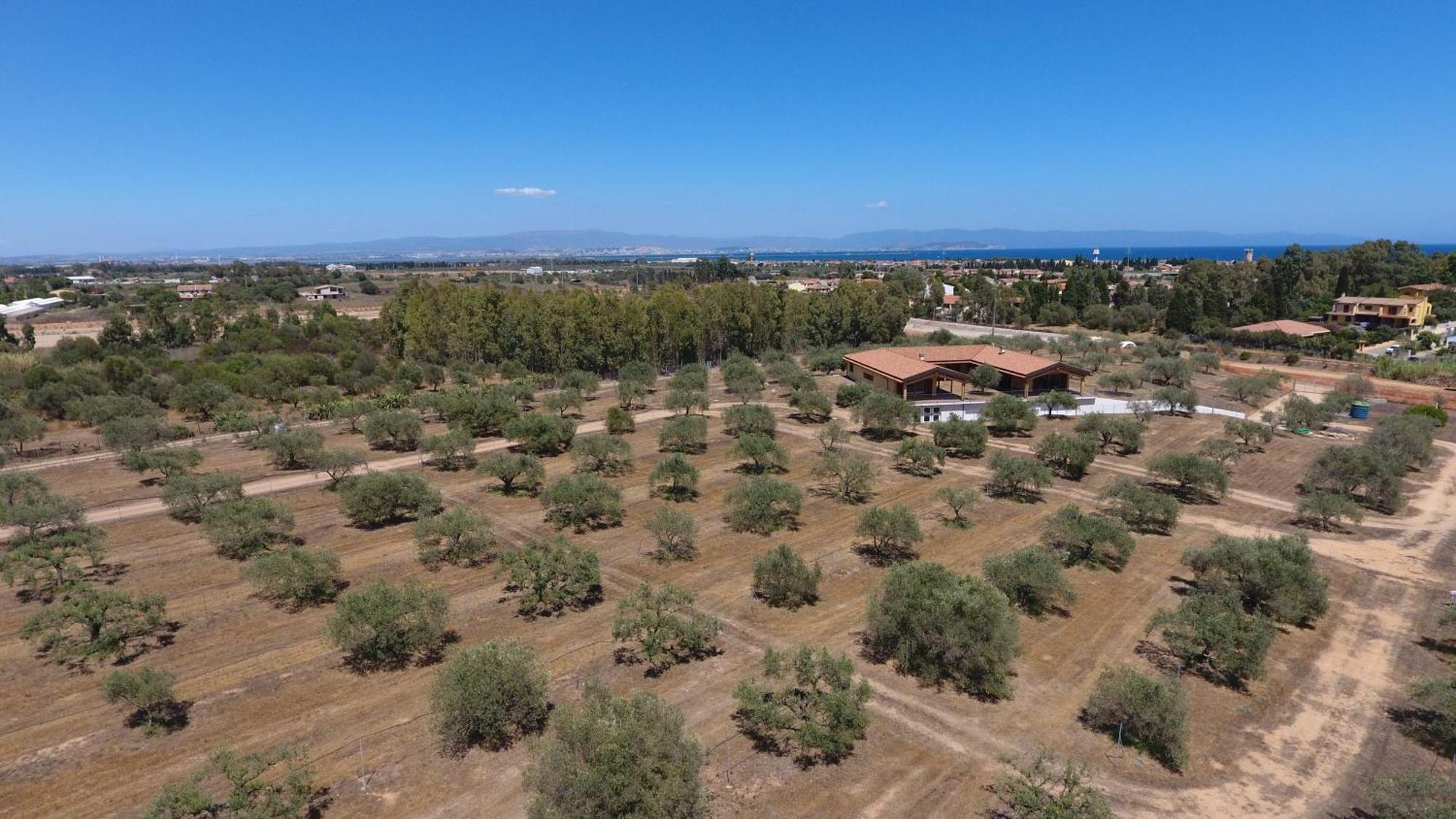 Agriturismo Corte Degli Ulivi Capoterra Dış mekan fotoğraf